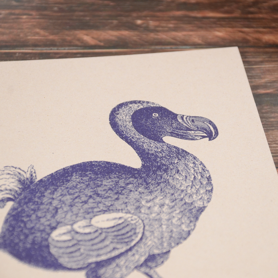 ドードー柄のイラストをクローズアップ。活版印刷の風合いが感じられる1枚