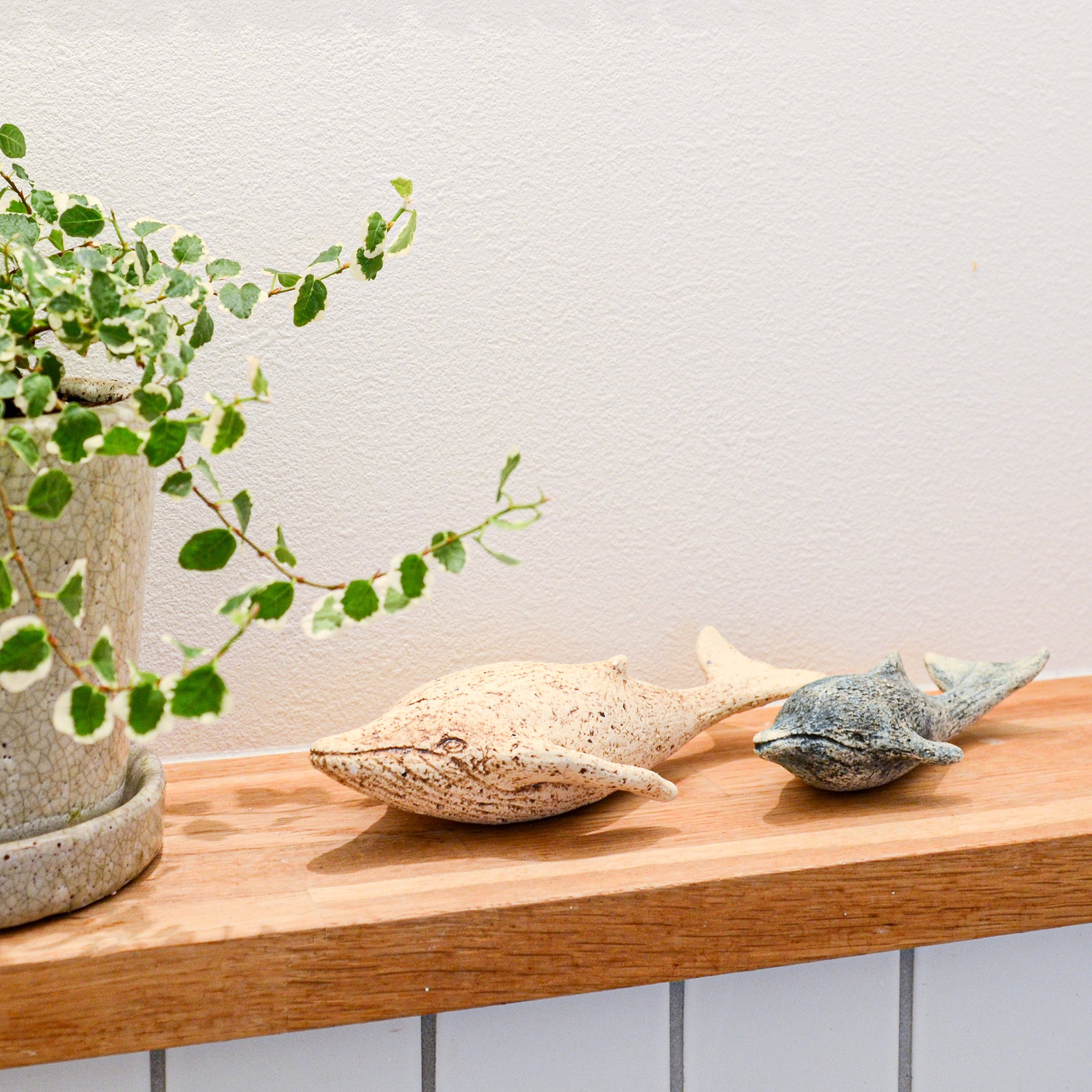 棚の上に飾られた陶器のくじらといるかのオブジェ。土のあたたかみが植物や空間にやさしくなじむ。