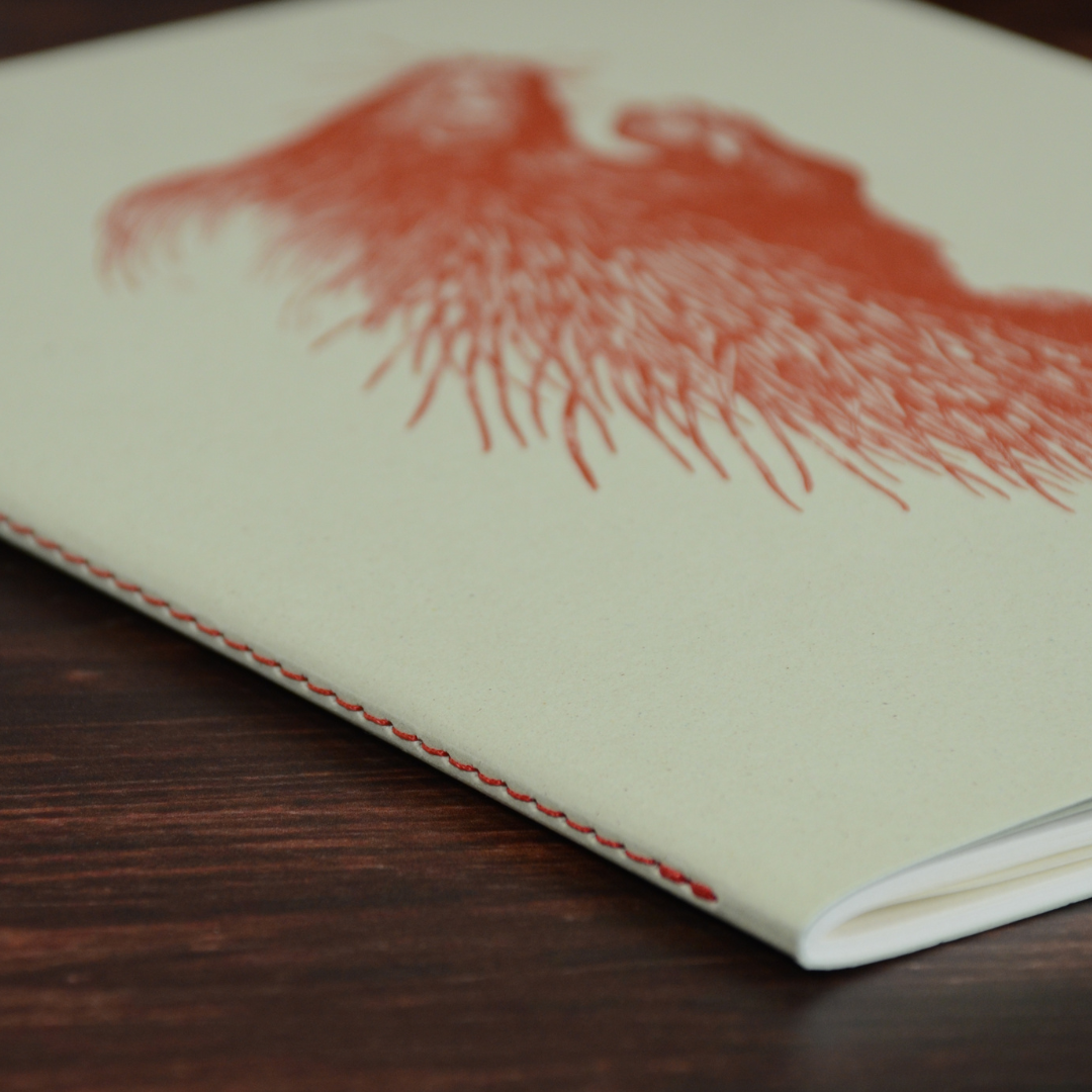 糸綴じ製本のディテールがわかるアップの写真