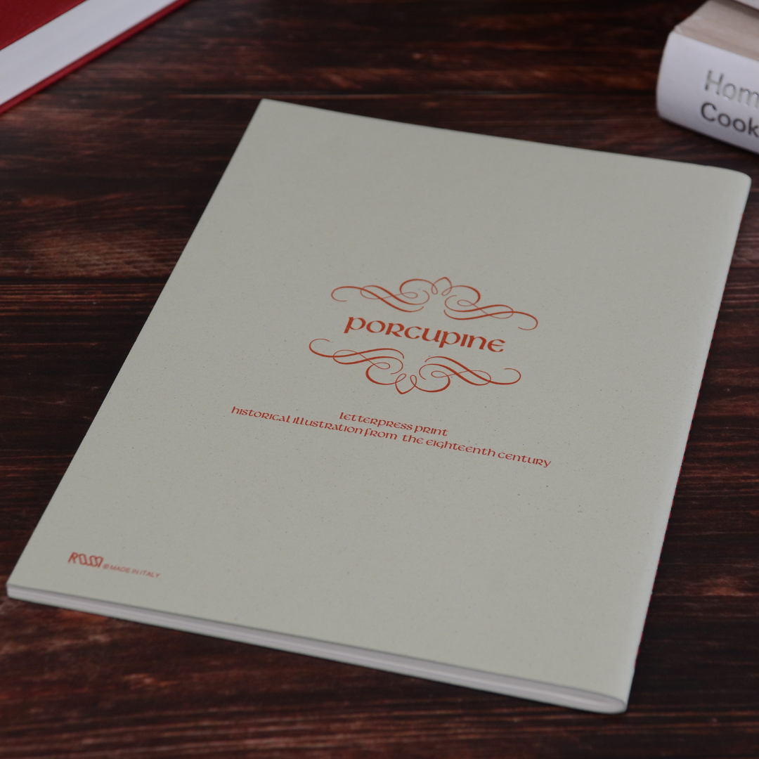 ヤマアラシ柄ノートの背面デザイン