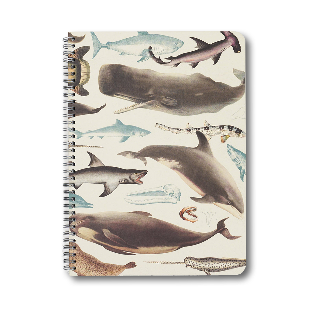 クジラやサメなどが描かれた海のいきもの柄のスパイラルノート（表紙）