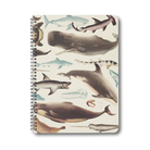 クジラやサメなどが描かれた海のいきもの柄のスパイラルノート（表紙）