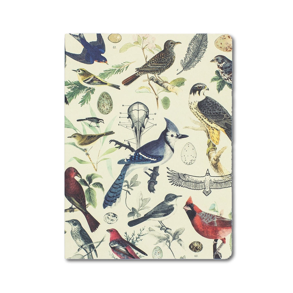 図鑑のように描かれた鳥と卵が印象的なソフトカバーノート（A5+）