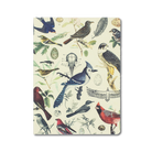 図鑑のように描かれた鳥と卵が印象的なソフトカバーノート（A5+）