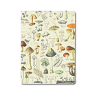 図鑑のように描かれたきのこが印象的なソフトカバーノート（A5+）