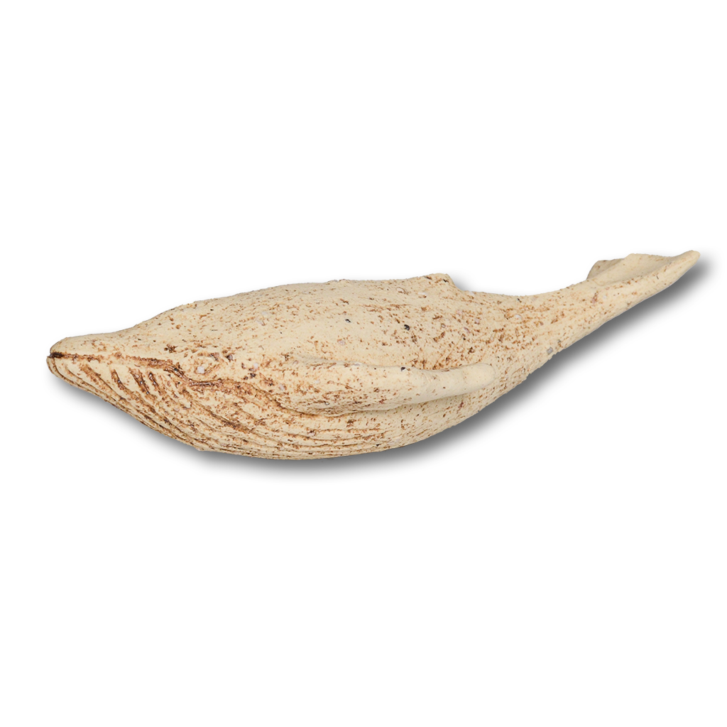 しなやかな曲線が美しい陶器のくじらオブジェ。白土の風合いと素朴な存在感を持つ手仕事の一点物。